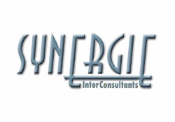 Synergie Inter Consultants